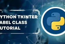 Python Tkinter Label class Tutorial with programming examples