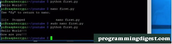 Raspberry Pi first Programming